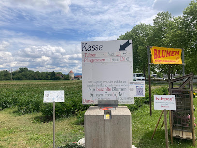 Blumenlieferant in Schwetzingen
