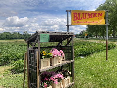 Blumenfeld zum Selberpflücken