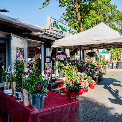 Blumen-Diva GmbH