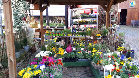Gerda’s Blumenstube