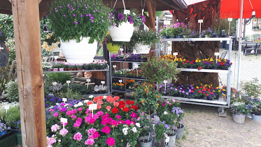 Gerda’s Blumenstube
