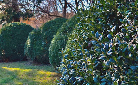 Garten- und Landschaftsbau Rafael Winkler