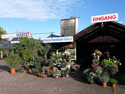 Blumenambiente Herbert
