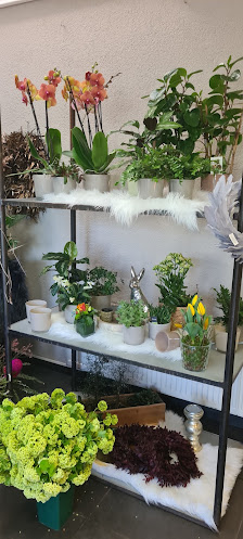 Blumen Lang