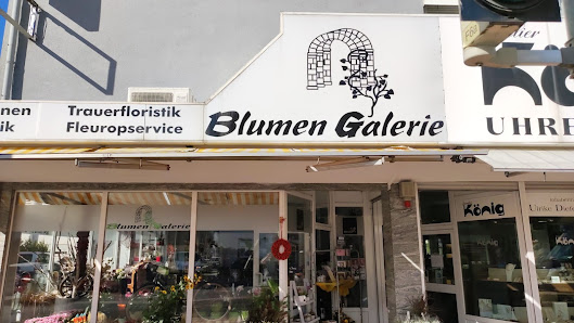 Blumen Galerie Hahn