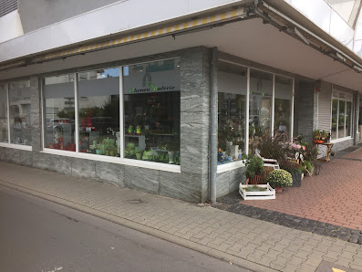 Blumen Galerie Hahn