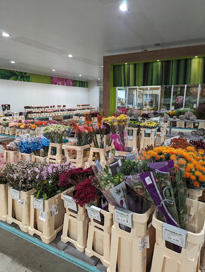 Bloomways GmbH