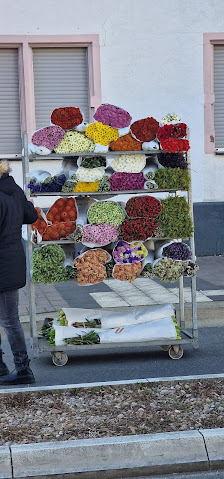 Missi Blumen
