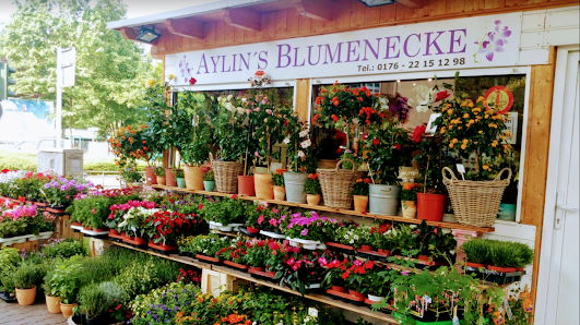 Aylin's Blumenecke