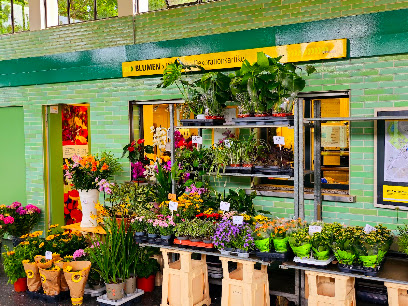 Blumen Pflanzen Dekorationsartikel