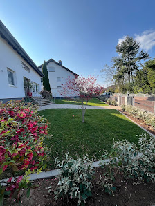 Ahorn & Linde Garten- und Landschaftsbau
