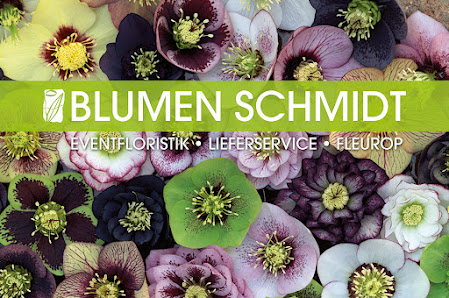 Blumen Schmidt