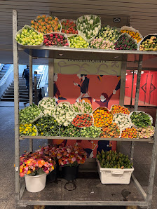 Blumenladen Göldner