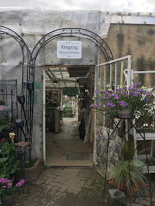 Blumen Scherer
