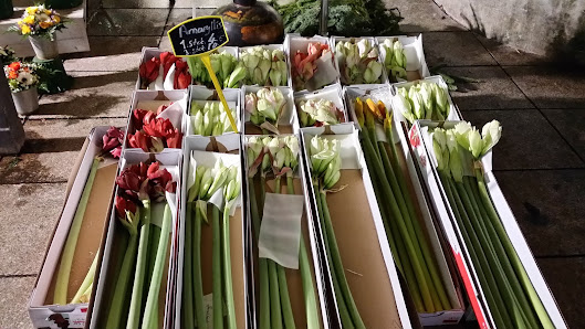 Blumen Kronen