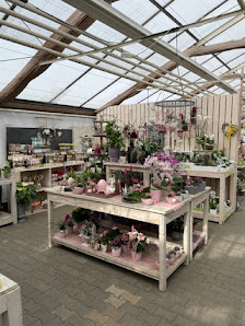 Berghausener Blumentopf GmbH & Co. KG I Blumengeschäft I Blumen