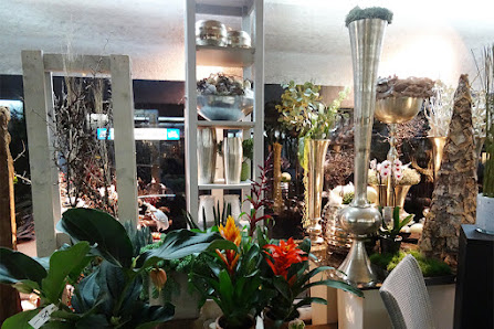 Blumen Bachmann