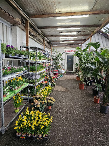 Daddy's Blumenparadies GmbH