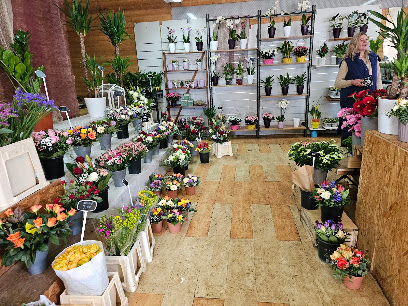 Daddy's Blumenparadies GmbH