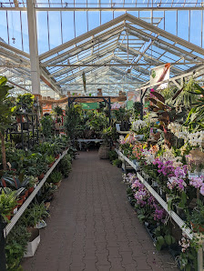OBI Gartencenter Berlin-Steglitz
