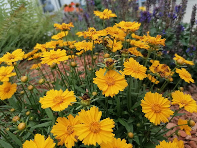 Gartenpflege Rabold