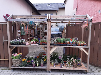 Kraftortzauber