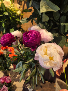 Blumen am Bahnhof