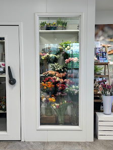 Blumen Schlegel GmbH & Co. KG
