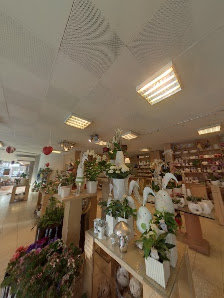 Blumen Bayer