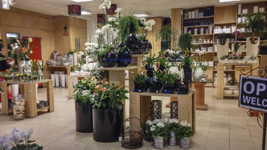 Blumen Bayer