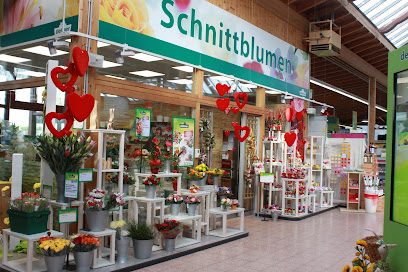Dehner Garten-Center