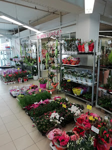 Blumen Leinsle