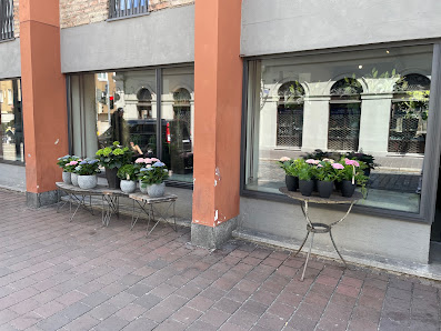 Blumen Iwan