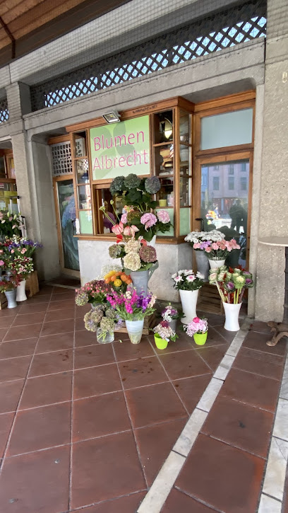 Blumen Albrecht