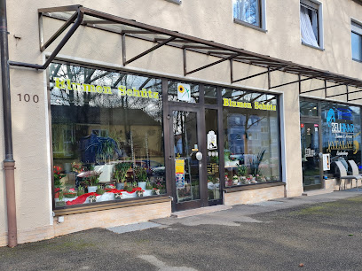 Bärenkeller