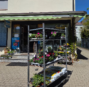 Blumengeschäft Hans Steinauer