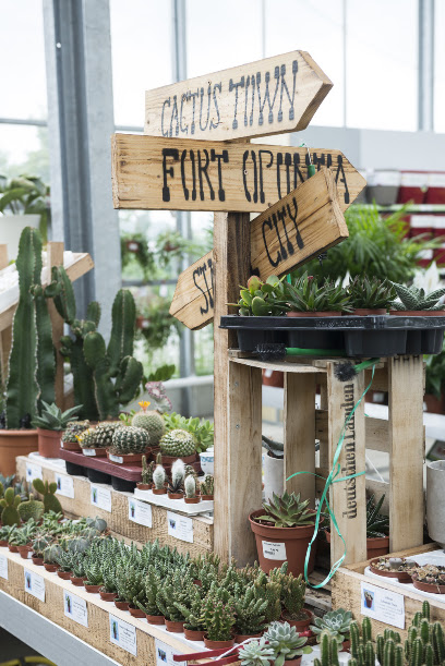 Wörnergärtner Gartencenter Neusäß