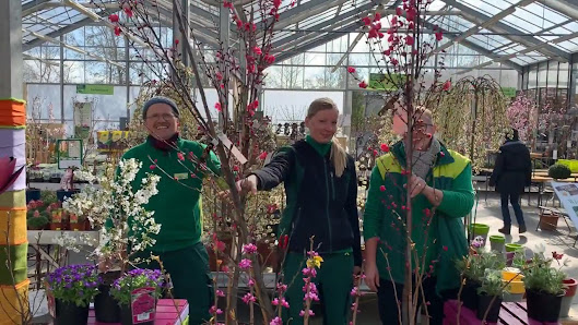 Wörnergärtner Gartencenter Neusäß
