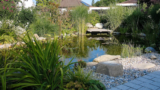 Glaß Wasserpflanzen
