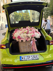 Pion Blumen