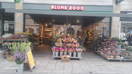 BLUME2000 Wiesbaden