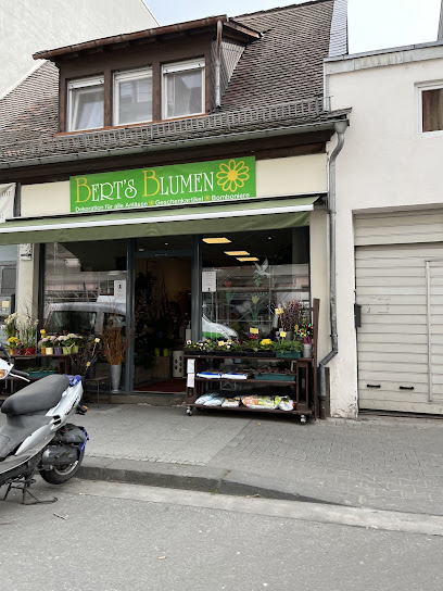 Berts Blumen e.K.
