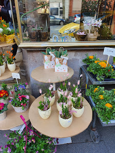 Blumen Peter Glöckler e.K.