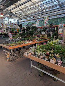 OBI Gartencenter Stadtbergen