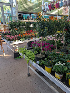 OBI Gartencenter Stadtbergen