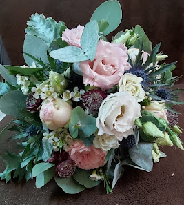 BlumenHaus PrimaVera Am Milchwerk UG (haftungsbeschränkt)