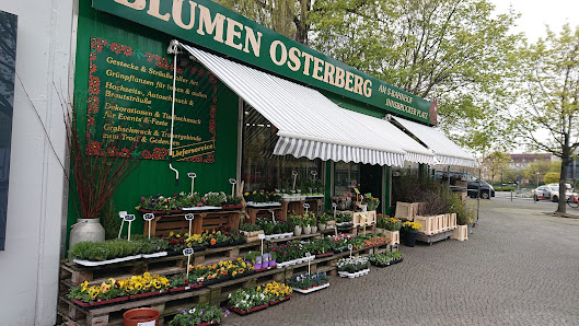 Blumen Osterberg
