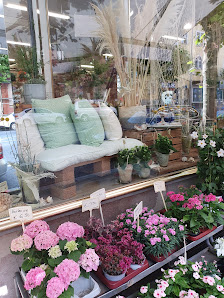 Blumenhaus Jan Mol