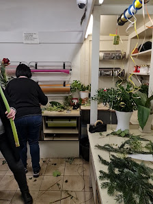 Blumenhaus Jan Mol