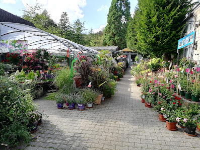 Taunus-Blumenhaus Güttler